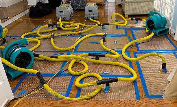 Professional Structural Drying And Dehumidification technician working in Plymouth, OH